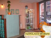 Rózsadomb alján, széles ügyfélkörrel rendelkező wellnessközpont eladó